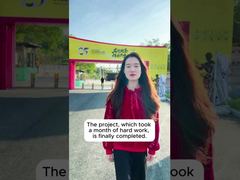 Shunde Bruce Lee Proje Örneği