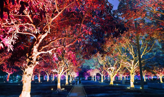 DMX512 RGBW 36W Ağaç LED Sel Işığı LED Bahçe Lâmpası Manzara Projeksiyonu İçin