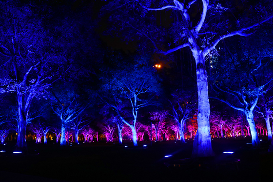 DMX512 RGBW 36W Ağaç LED Sel Işığı LED Bahçe Lâmpası Manzara Projeksiyonu İçin