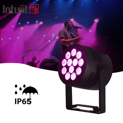 IP65 Dış LED 12x20w RGBWA-UV 6in1 Etkinlik DJ Wash DMX 512 Su geçirmez LED Par Light