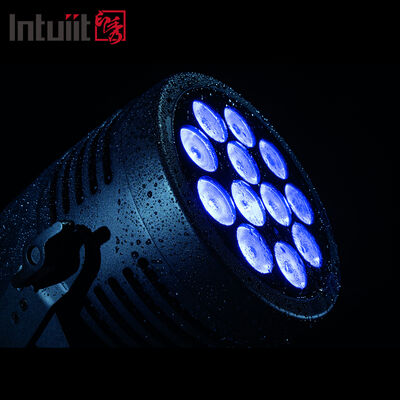 Outdoor IP65 Waterproof 12x20W RGBWA UV 6 in 1 LED Par Light Professional DMX DJ Stage Lighting Wash Uplight for Disco Wedding Show