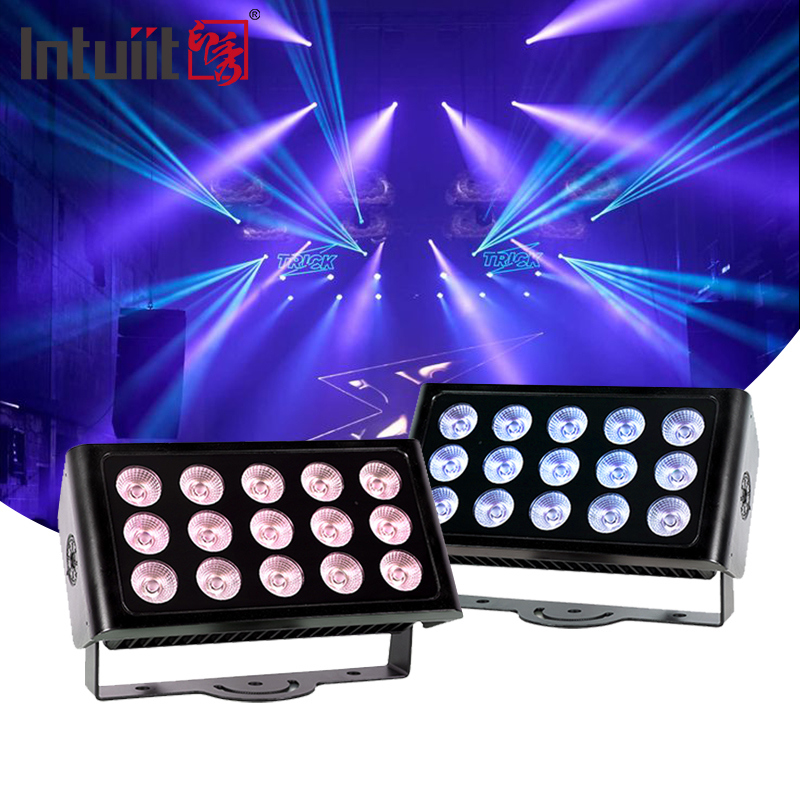 Yüksek Kaliteli Dış Dekorasyon LED Su geçirmez 80W Duvar Yıkamacı Işık Ağaç Işığı Dış Çevre Projection Lamp