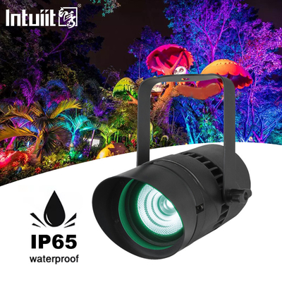 Spot Light Dış Çevre Landşaftı Işıklandırması 15W RGBW Renk Değiştirme Yard House Bahçe için LED Landşaftı Işıkları
