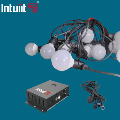 Parti Ağacı için ABS Ampul Çok Renkli Küre Dize Işıklar AC 100V