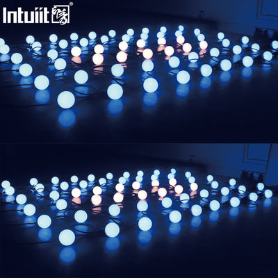 Parti Gard için Tam Piksel Kontrolü 116Watt Açık Peri Dize Işıkları